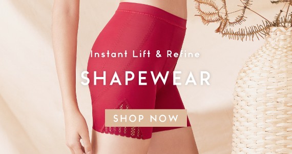 bras and things shapewear