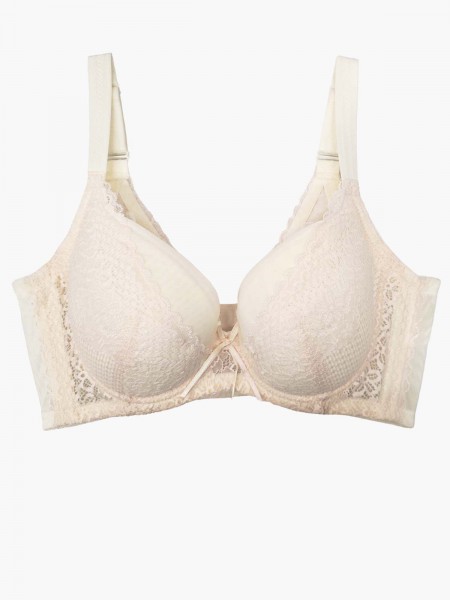 Lace Soft Cup Bra ( Cup C-E)