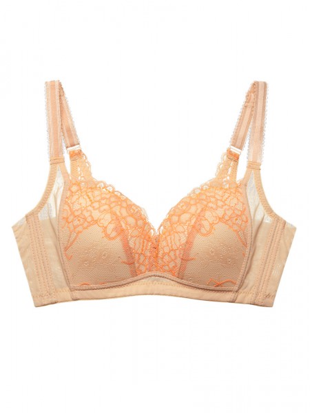 Lace Wireless Plunge Bra (Cup C-F)