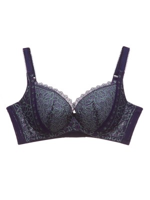 Lace Soft Cup Bra