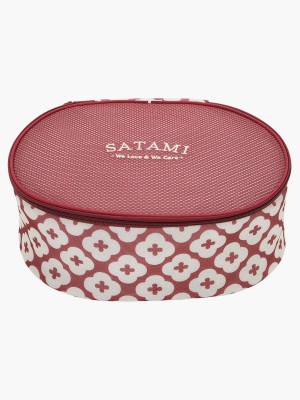 Lingerie bag / Packing Organizer