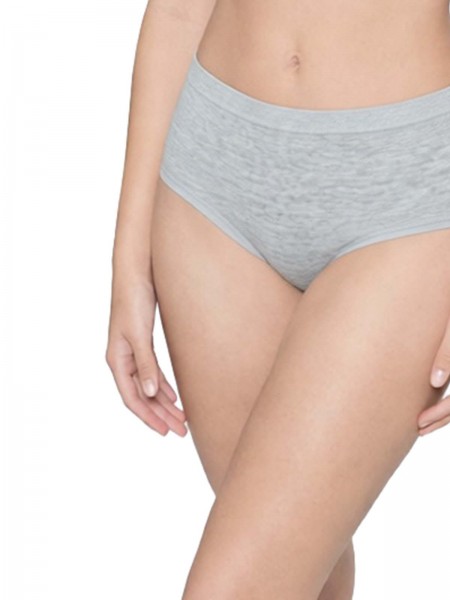 Seamless Mid-rise Menstrual Period Short Brief (2 pack)