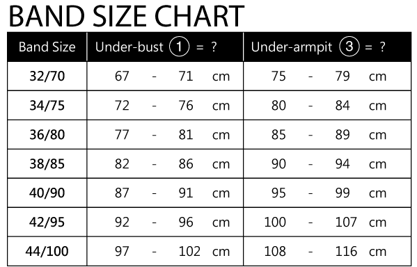 Bra Size Chart 36c