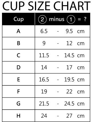 Breast Cup Size Chart With Pictures